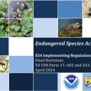 Endangered Species Act Regulation Revisions Presentation