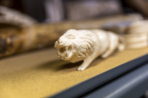 Ivory carved lion