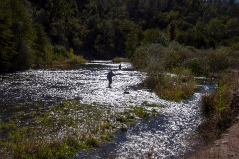 Two men with fishing rods wade in a shallow creek