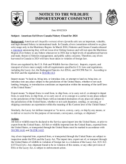 OLE Public Bulletin- Canadian Anguilla rostrata (American Eel) Elver Season Closure 05-02-2024