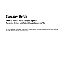 junior-duck-stamp-curriculum-educator-guide.pdf