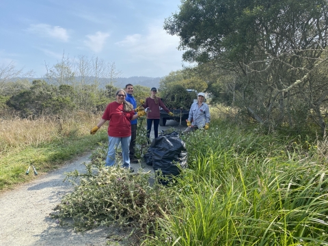 People removing invasive plant species along the trail at Humboldt Bay NWR