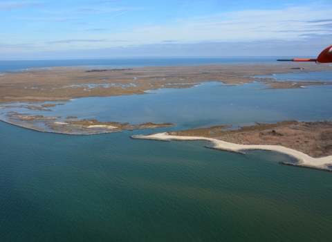 aerial view of sea and island shows shoreline bolstered by oyster reefs
