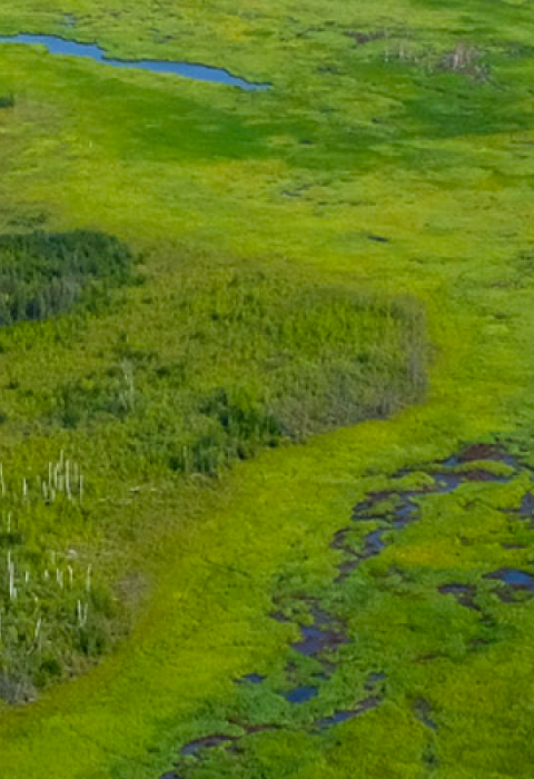 Wetlands, as seen from a bush plane near the North Slope