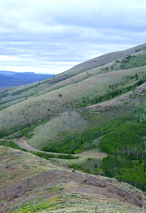 Image of a mountain canyon dotted with sagebrush, pine trees and aspen.
