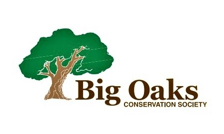 Artwork of oak tree and big oaks conservation society name