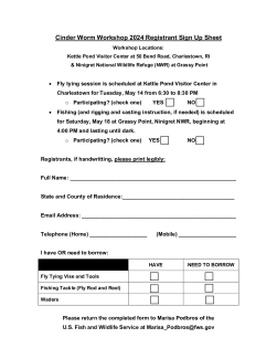 Cinder Worm Workshop 2024 Registration Form