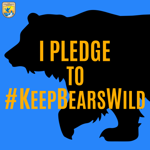 an illustration showing the black silhouette of a bear against a blue background. Yellow text in front reads I Pledge to #KeepBearsWild. USFWS logo appears in top-left corner.