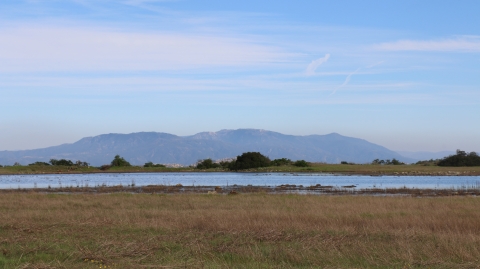 A large body of water shown in the midst of a green and yellow meadow with bluish mountains in the backdrop. The sky is blue with light hazy clouds.