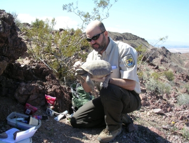 Photo of man kneeling and holding a Mojave desert tortoise