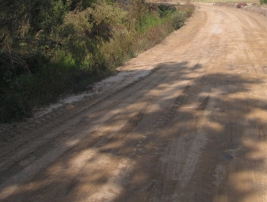 A dirt road with shrubs along the side.
