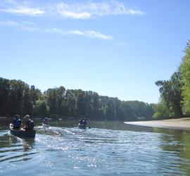 People paddling canoes on the Willamette River