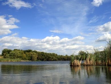 wetland with blue sky and white clouds
