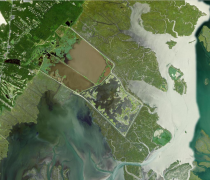 The Wildlife Drive Auto-Tour at Edwin B. Forsythe National Wildlife Refuge, as seen above from satellite imagery. 