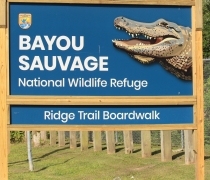A trailhead sign with an image of an alligator's head