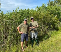 Two hunters in green shirts standing on the edge of the marsh holding blue-wing teal.