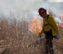 person wearing yellow shirt and red hard hat carrying a drip torch and fire in the background