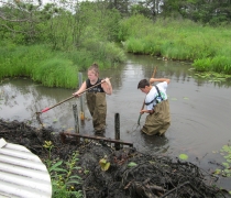 Two young people clear a beaver dam from in front of a culvert.