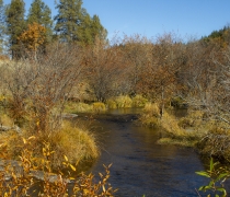 river in fall colors