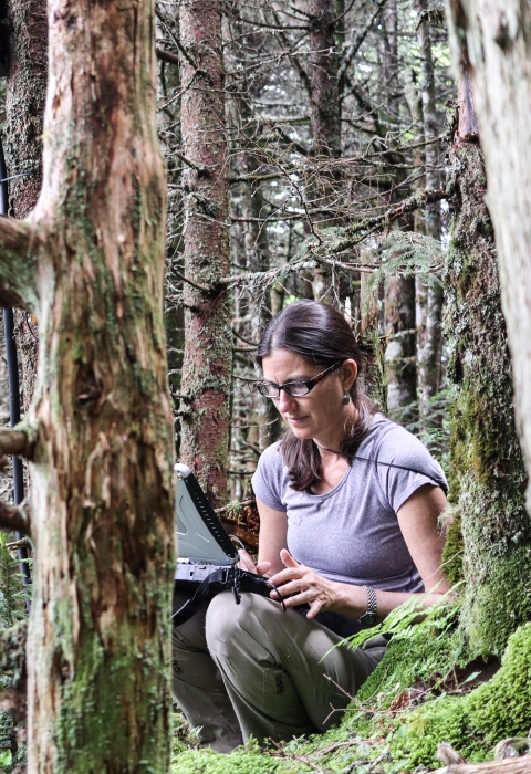 A woman crouching in a forest entering data in a computer