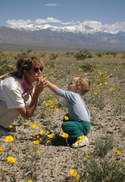 A woman and a small boy crouch in a field of yellow wildflowers