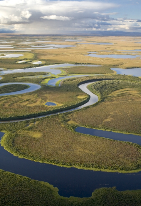 A river winds through wetlands 