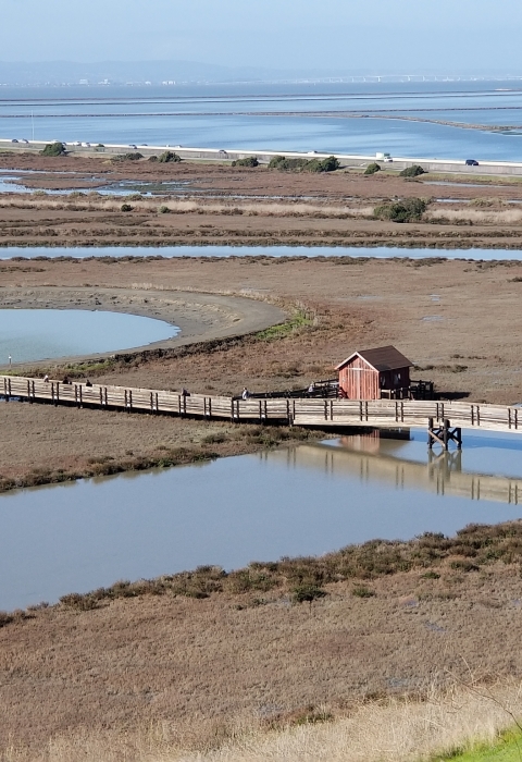 Tidal marsh with a boardwalk bridge trail over a slough and the greater San Francisco Bay in the background.
