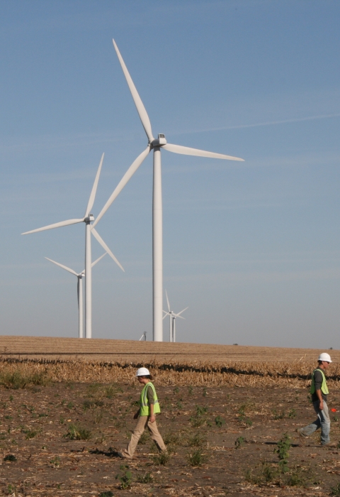 People searching a plot around a wind turbine with wind turbines in the background.