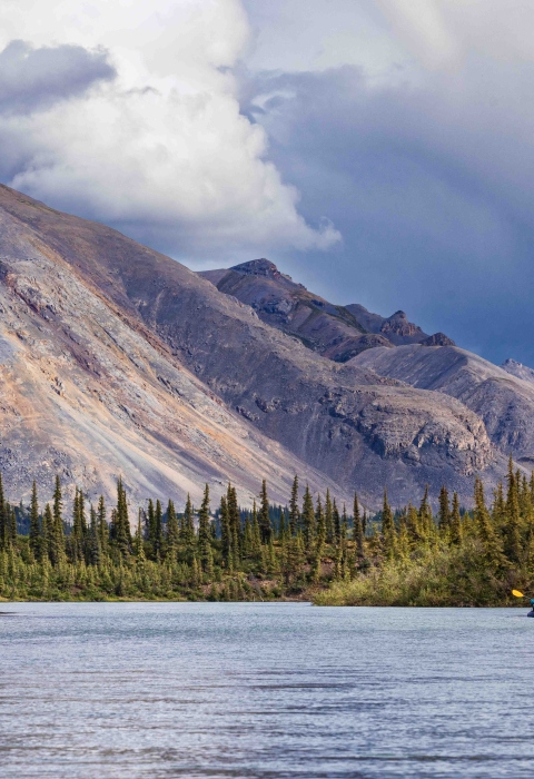 Paddlers navigate a stretch of river with firs along the banks and purple mountains rising behind them.