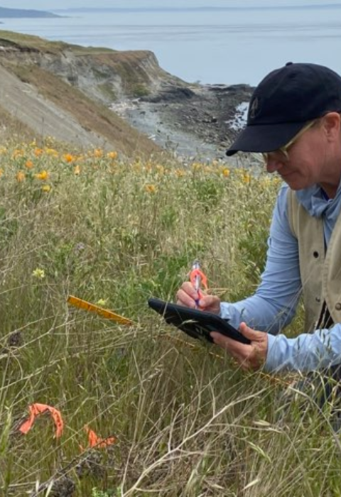 Biologist Julie Combs holds clip board while looking at vegetation growing on a seaside prairie. 