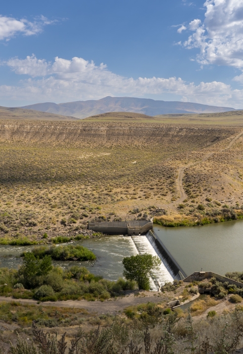 A photo overlooking the Great Basin sagebrush landscape featuring the Truckee River flowing through a riparian area.
