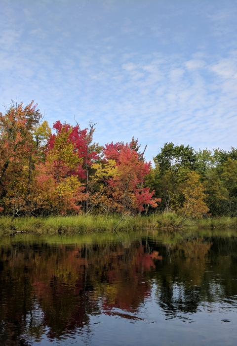Trees in northern Minnesota turn to fall colors along the water’s edge. 