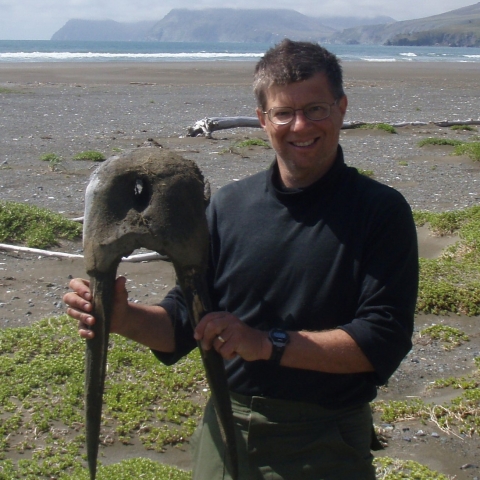 Man holding walrus skull by the tusks on the Alaska tundra