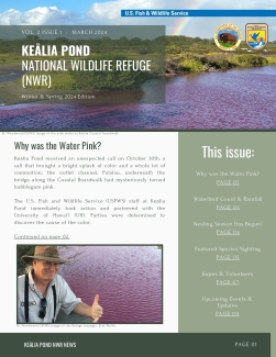 Keālia Pond NWRʻs Newsletter