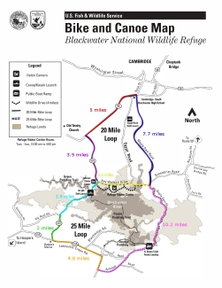 Blackwater NWR Cycling Map
