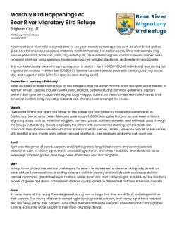 Monthly Bird Happening at Bear River Migratory Bird Refuge
