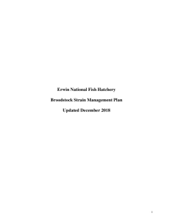 Broodstock plan ENFH 2018.pdf