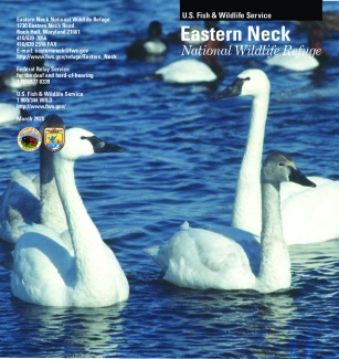 Eastern Neck NWR General Brochure