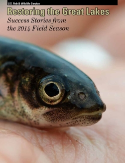 Restoring the Great Lakes: Success Stories from the 2014 Field Season