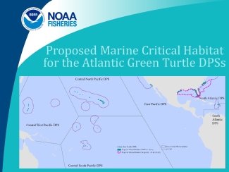 NOAA Fisheries Atlantic Critical Habitat