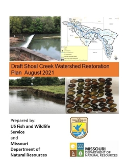 Shoal Creek Restoration Plan 
