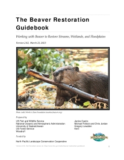 The Beaver Restoration Guidebook