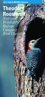 TR Complex Bird List