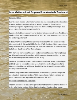 Lake Mattamuskeet Proposed Cyanobacteria Treatment Factsheet