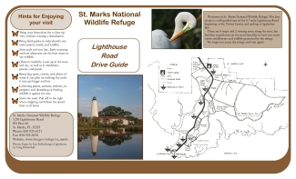 St. Marks Lighthouse Road Drive Guide