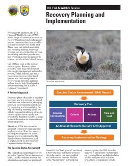 Recovery Planning and Implementation Under the Endangered Species Act