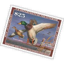 2019年鸭子邮票