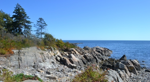 Maine coastline near Timber Point on Rachel Carson National Wildlife Refuge