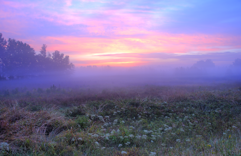 A pink sunrise behind a meadow at Occoquan Bay NWR