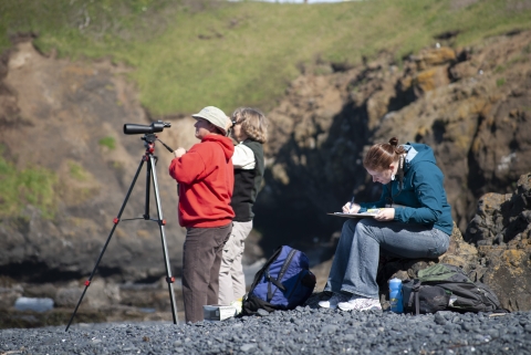 Volunteers at a spotting scope survey seabirds from a rocky beach